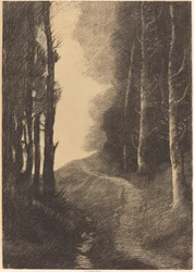 Paesaggio con betulle