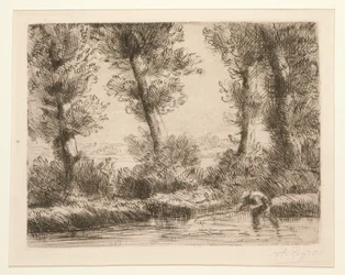 Le rive della Liane