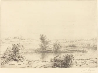 Le paludi