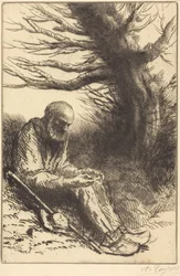 Old man, Old Tree (Vecchio uomo, vecchio albero)