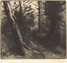 Sentiero nel bosco