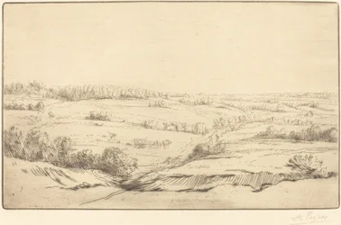 Pianura