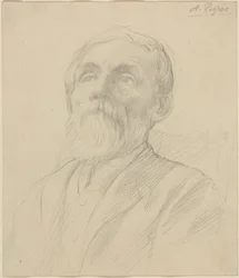 Ritratto di un Vecchio
