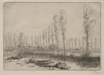 Presso Amiens, le torbiere