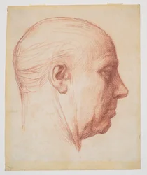 Profilo di un uomo