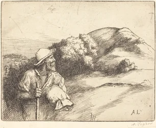 Ritorno dai Campi