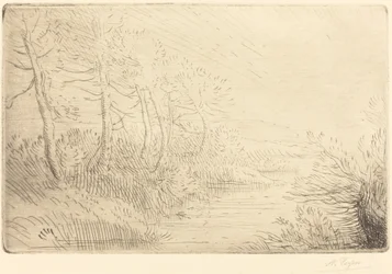 Bordo del fiume