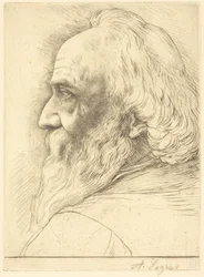 Autoritratto, 12ª tavola