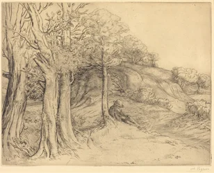 Solitudine (Paesaggio)