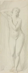Nudo femminile in piedi