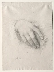 Studio delle mani