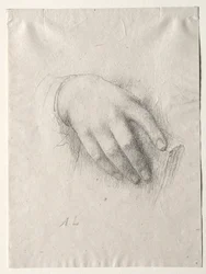 Studio di mani