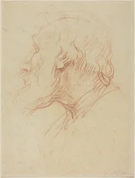 Studio di un mendicante