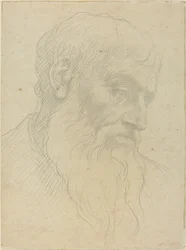 Studio di una testa