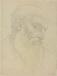 Studio di una testa