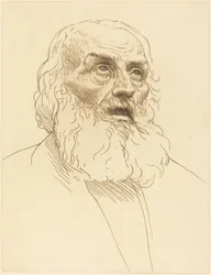Studio di un vecchio