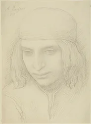 Testa di giovane ragazza