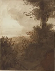 Il grande albero