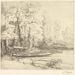 Alberi al bordo dell