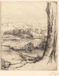 Vista delle canne Coin de roseau