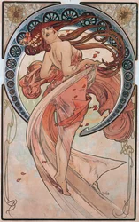 Danza (Rose)