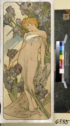 Iris