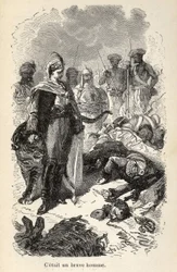 Illustrazione delle 