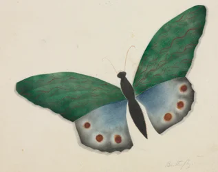 Farfalla (acquerello)