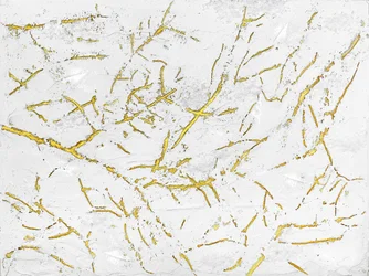 Texture dorata biologica