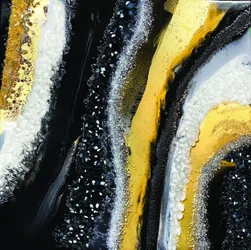Lussuoso scintillio nero e oro