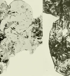 Forme organiche materiche