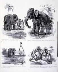 Illustrazione per L
