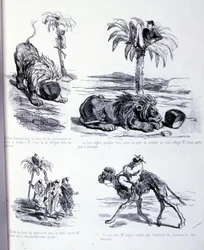 Illustrazione per L