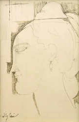Testa di donna