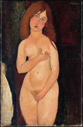 Venere o nudo in piedi o nudo Medici; Venere