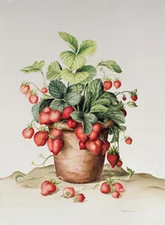 Fragole in un vaso, 1998