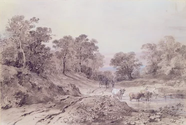Una strada di campagna tra gli alberi