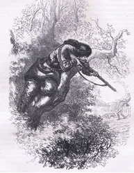 Tiratore americano su un albero, illustrazione da Cassells History of the United States pubblicata da Cassell, Petter & Galpin, c.1900