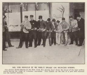 Guardiani che forzano l