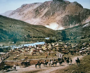 Ranch di bestiame, Colorado
