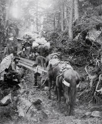 Scalare il sentiero Dyea sulla strada per il Passo Chilkoot durante la corsa all