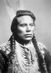 Curley, della tribù Crow, uno degli scout di Custer
