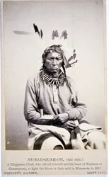 NE-BAH-QUAH-OM, Grande Cane, Capo Chippewa, si offrì di combattere i Sioux in Minnesota