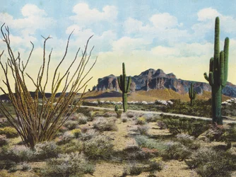 Montagna e deserto di Superstition, "Apache Trail" (foto a colori)
