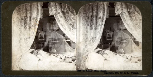 Un piccolo cuore solitario, 1901 (stereografia)
