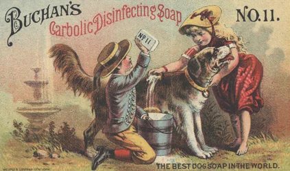 Pubblicità per il sapone disinfettante carbolico n. 11 di Buchan, c.1880