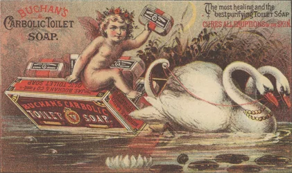 Pubblicità per il sapone da toilette carbolico di Buchan, c.1880