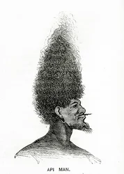 Uomo Api, illustrazione da Appletons Journal, 4 maggio 1872