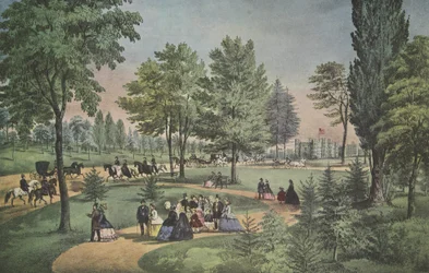 Central Park, il viale