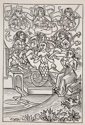 La fata Melusina, da The World Guide to Gnomes, Fairies, Elves and Other Little People di Thomas Keightley (1789-1872), pubblicato nel 1880